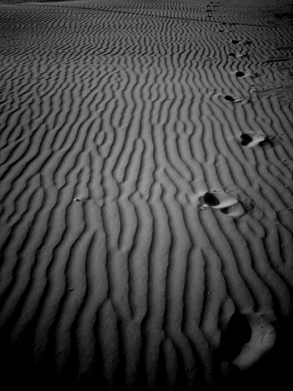 Beach a Bar