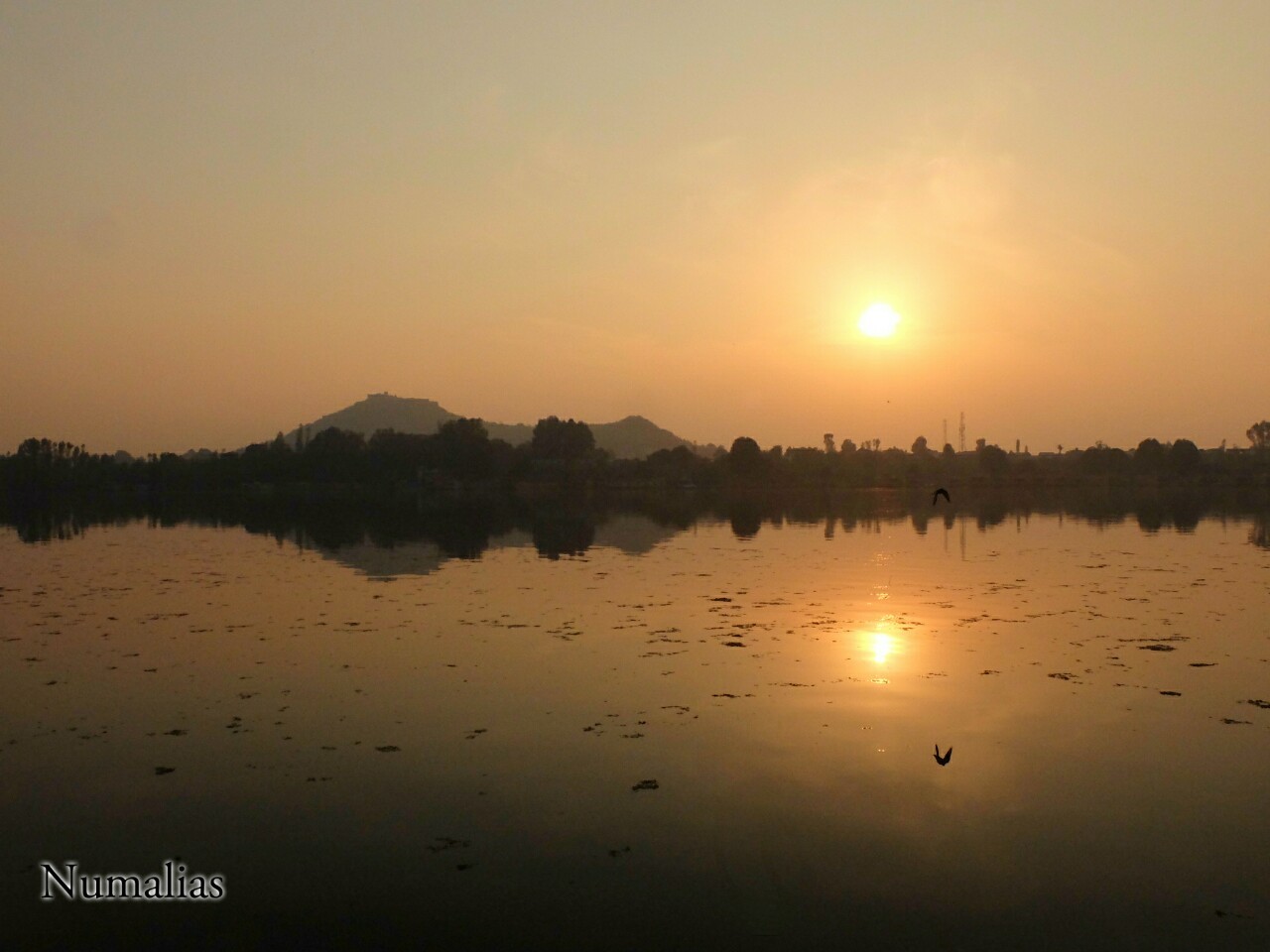 Nigeen lake - Kashmir