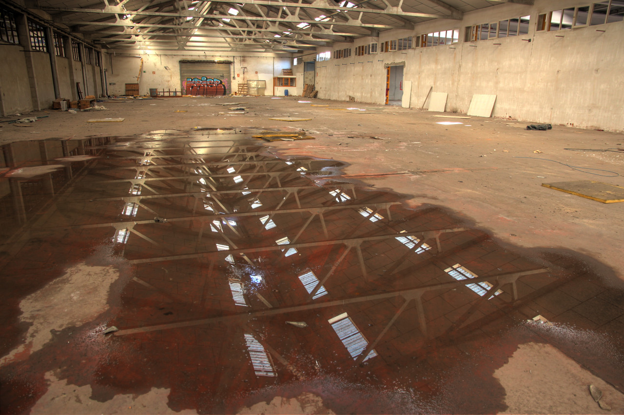 Loft à louer dans l'état. Menus travaux à prévoir.