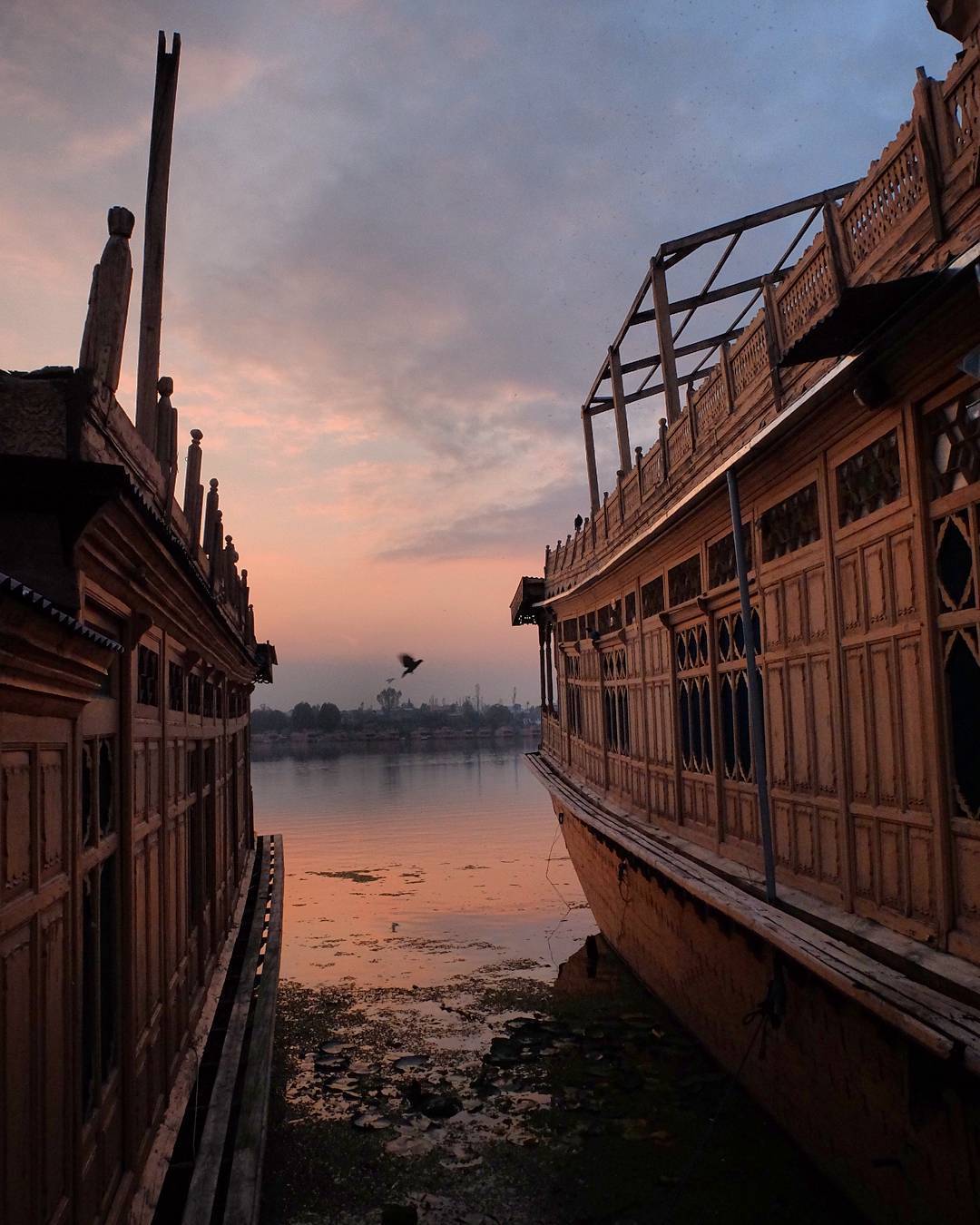 The houseboats on the Dal lake. A beautiful and curious experience. (en Srinagar, Jammu and Kashmir)