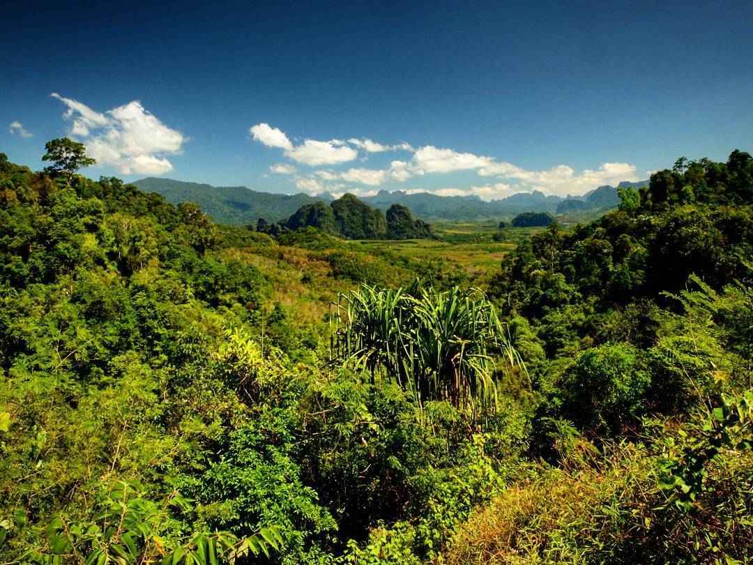 Khao sok natural park (en Khao Sok National Park)